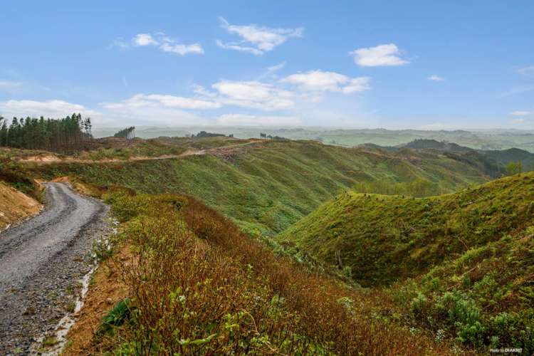 1211 Klondyke Road Port Waikato_5