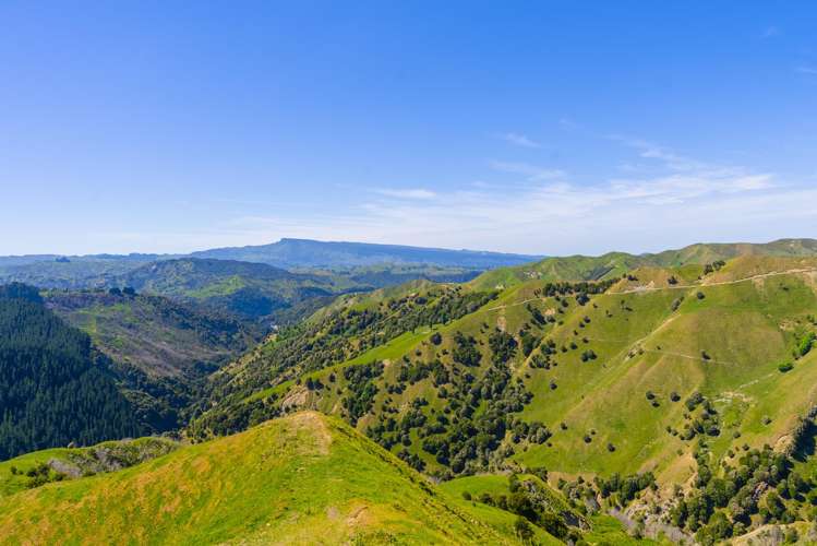 1169 Ruakaka Road Tiniroto_25