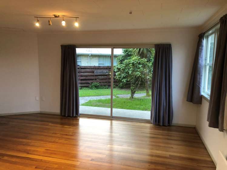 21 Ruru Crescent Putaruru_2