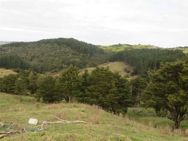 565 Bickerstaffe Road Maungaturoto_4