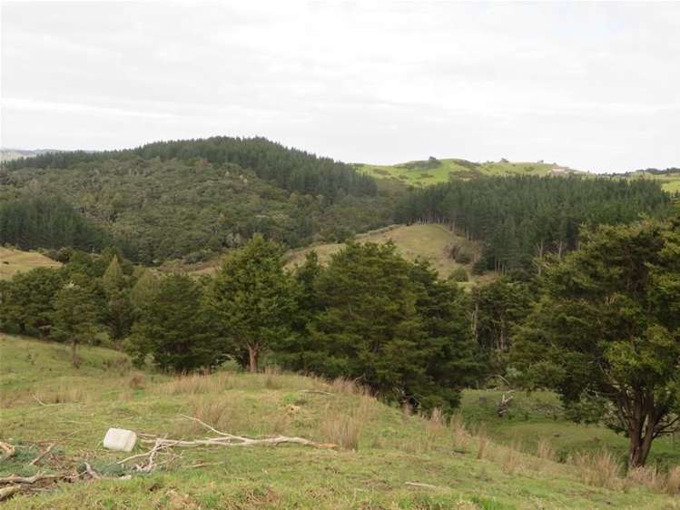 565 Bickerstaffe Road Maungaturoto_4