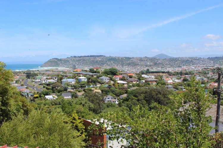 41 Tomahawk Road Andersons Bay_0