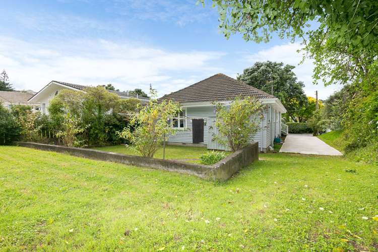 113 Miramar North Road Miramar_4