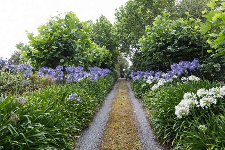 31 Wanganui Road Marton_6