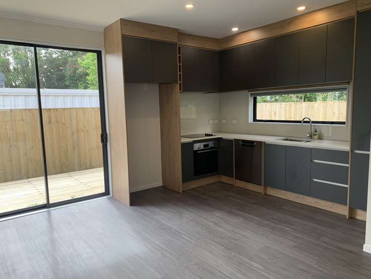 217B St George Street Papatoetoe_6