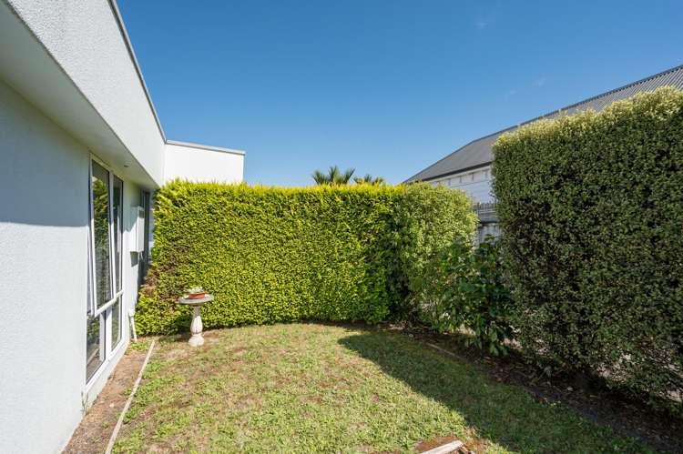 66 Tasman Street The Wood_11