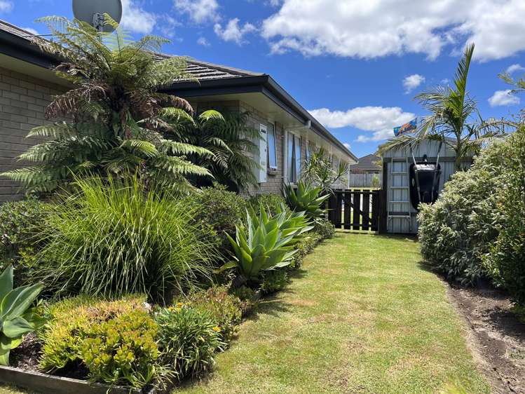 36 Plover Street One Tree Point_15