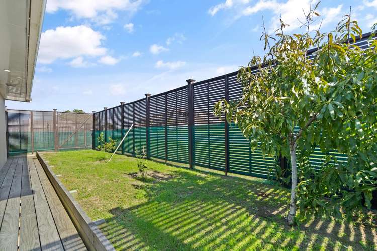 21 Virtue Crescent Karikari Peninsula_15