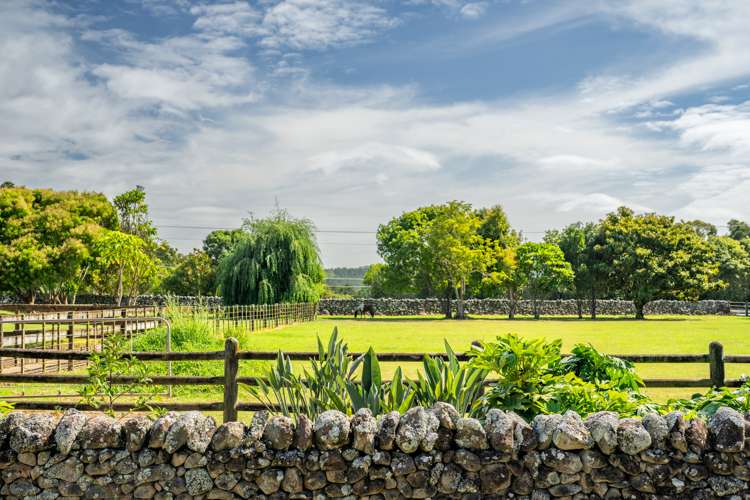 694 Ngunguru Road Glenbervie_22