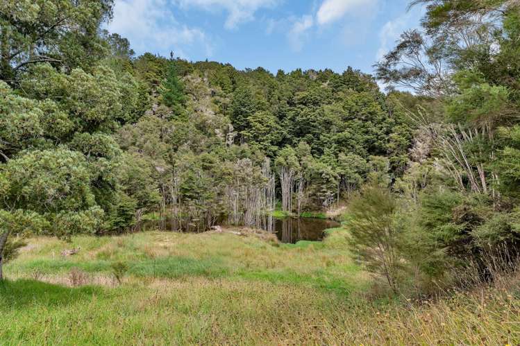 Pipiwai Road Purua_15