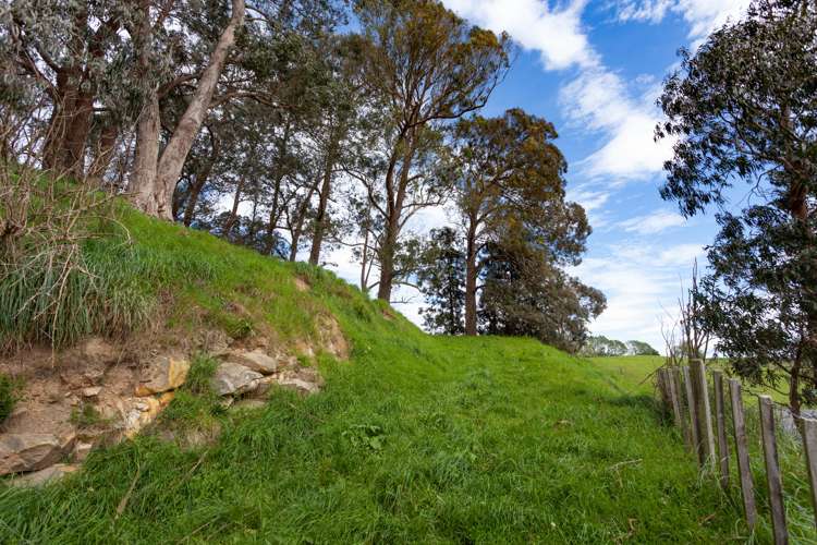 Waotu Road Putaruru_15