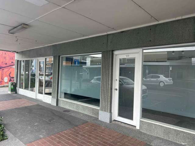 200 Heretaunga Street East Hastings Central_2