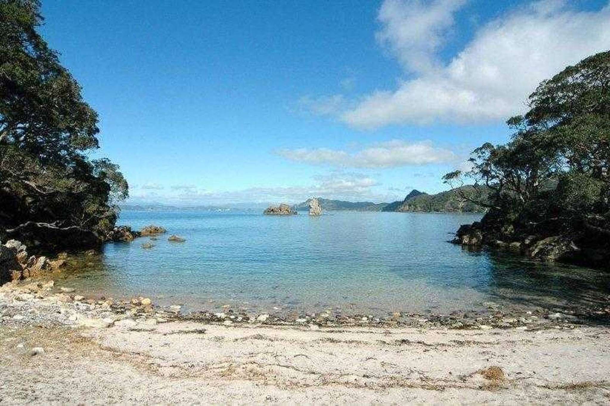 Coromandel beachfront land for sale