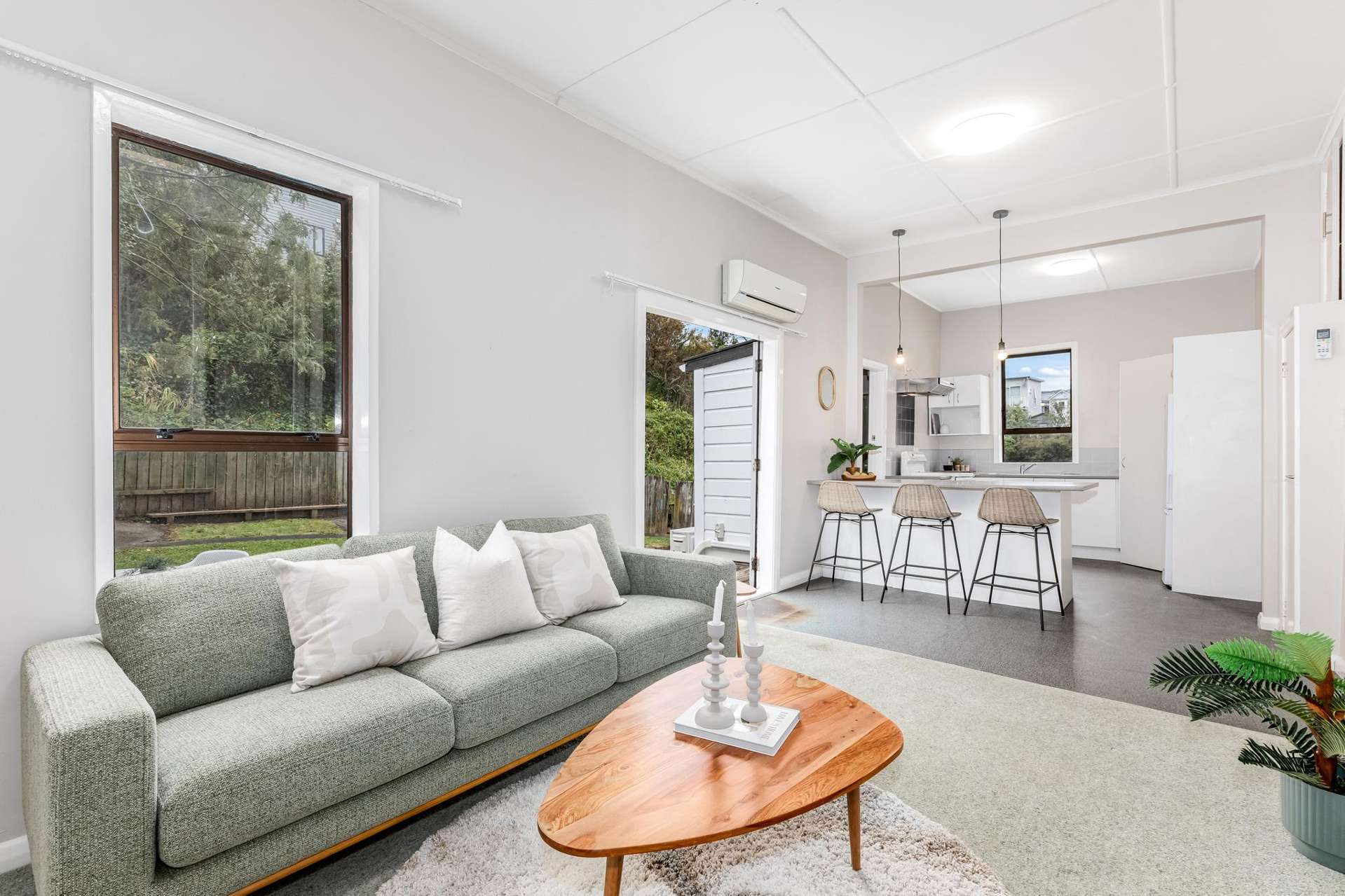 50 Te Wharepouri Street Berhampore_0