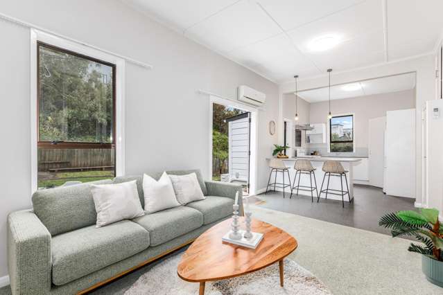 50 Te Wharepouri Street Berhampore_2