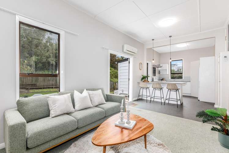 50 Te Wharepouri Street Berhampore_1