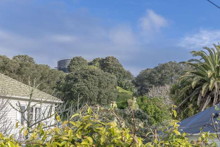 14 Dally Terrace Mount Roskill_16