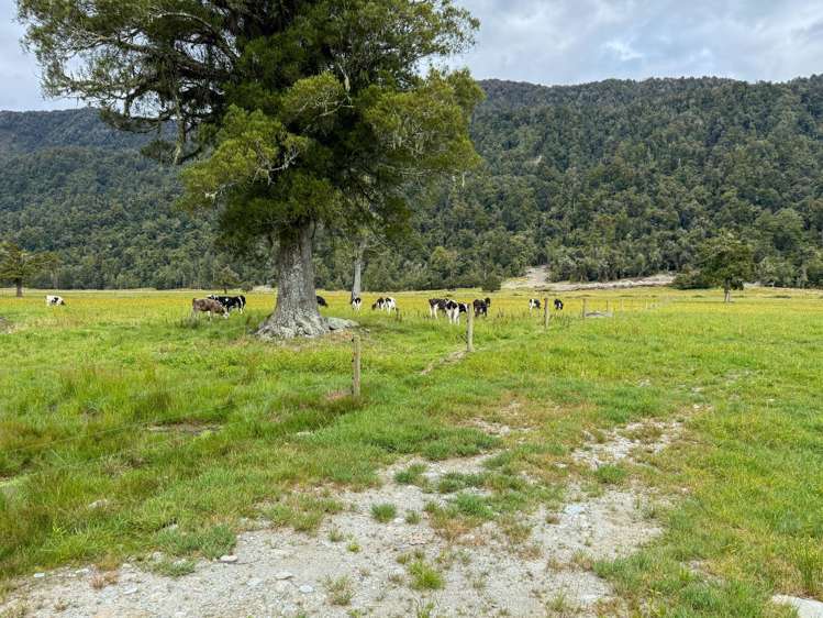 221 Docherty Creek Rd and Waiho Flat Road Franz Josef_28