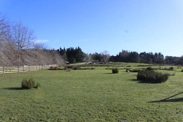 202 Pine Valley Road Dairy Flat_2