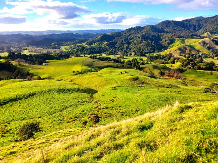 92 Takahue Saddle Road Takahue_4