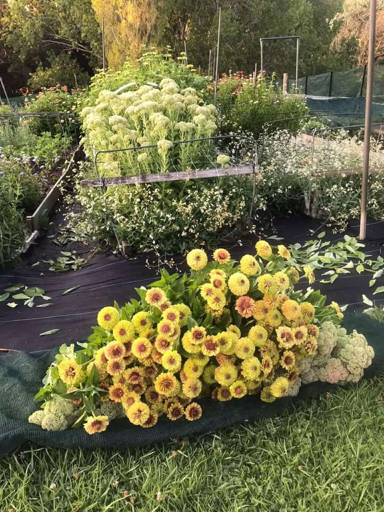 2239B State Highway 12 Paparoa_25