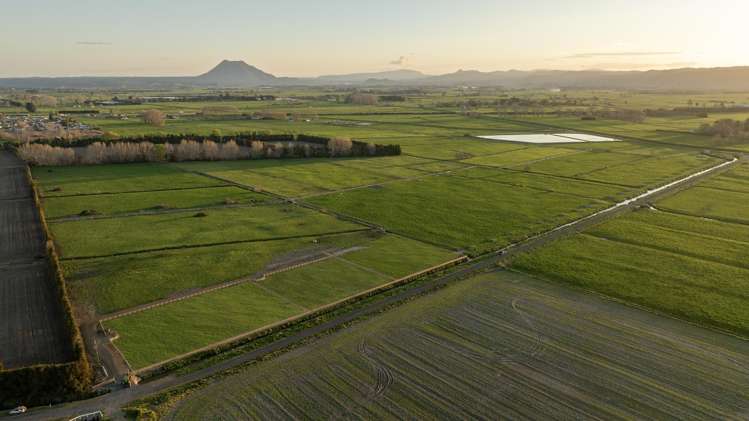 Lot 2/71 Edgecumbe Soldiers Road_0