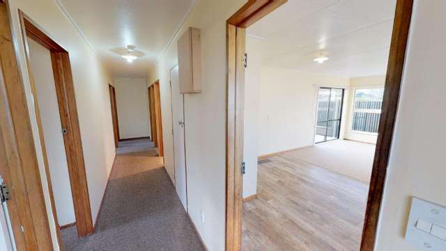 45b Manson Street 2145_3