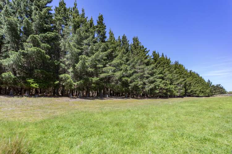 29 Newcombes Road Amberley_23