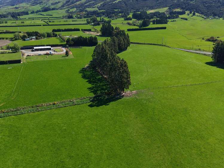 35 Maungatua Road Taieri Plain_18