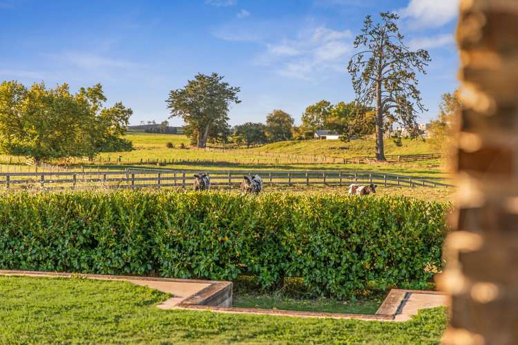 235 Hiwi Road Tauwhare_16