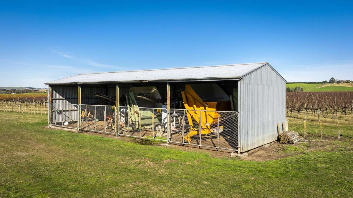 Colefield Vineyard, Aorangi Road_5