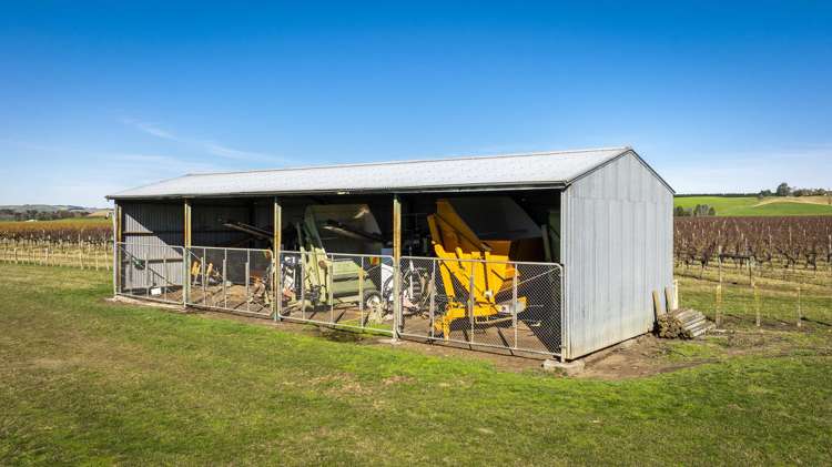 Colefield Vineyard, Aorangi Road Maraekakaho_9