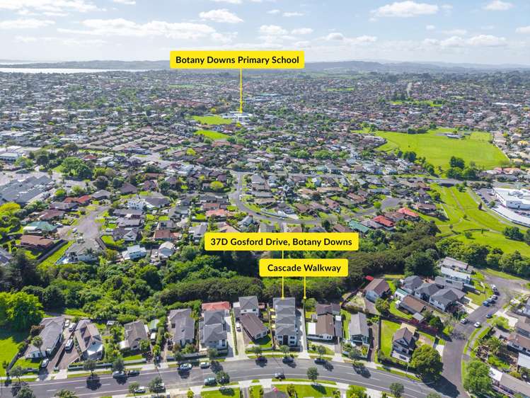 37D Gosford Drive Botany Downs_22