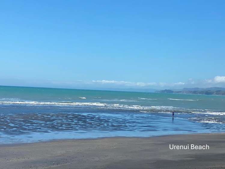 52 Fifth Avenue Urenui_13