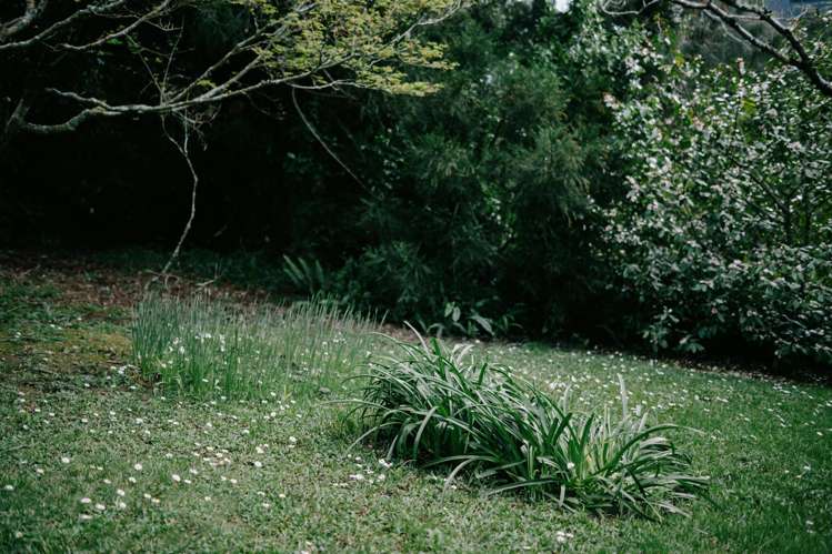 15 Fenton Terrace Cockle Bay_28