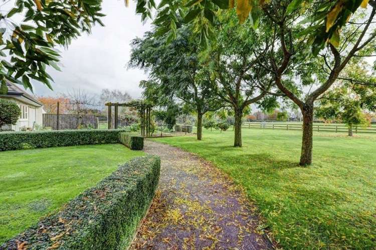 101 Hooker Road Tamahere_29