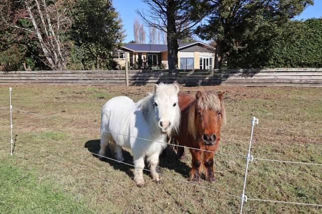 5 Hectare sanctuary in Myross Bush!