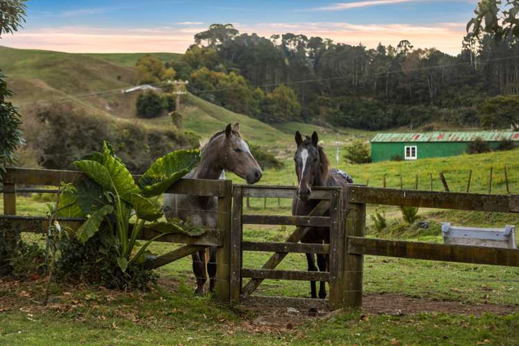 217 Golden Valley Road Waihi_36