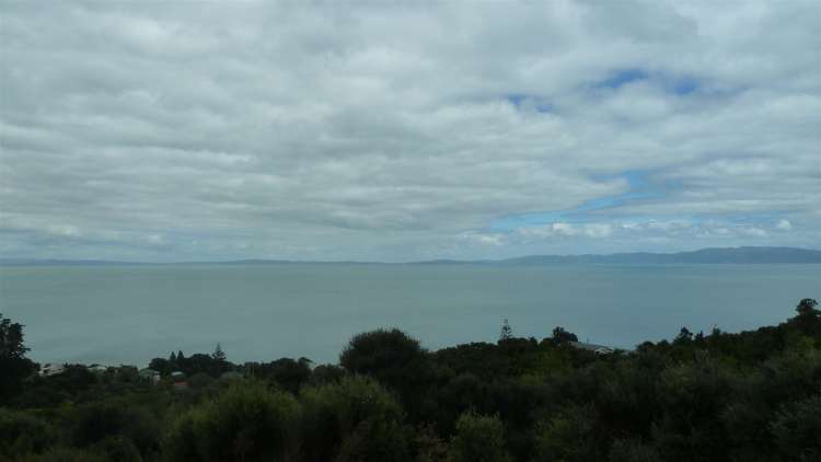 45 Otuturu Crescent Thames_0