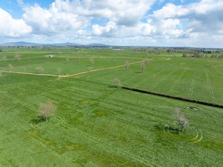 353 Maiseys Road, Waharoa Matamata_16