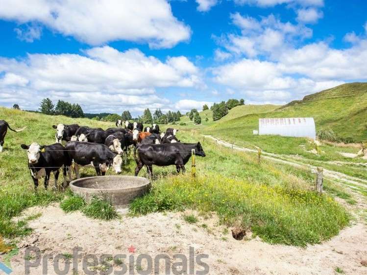 1788 Manawahe Road Manawahe_27