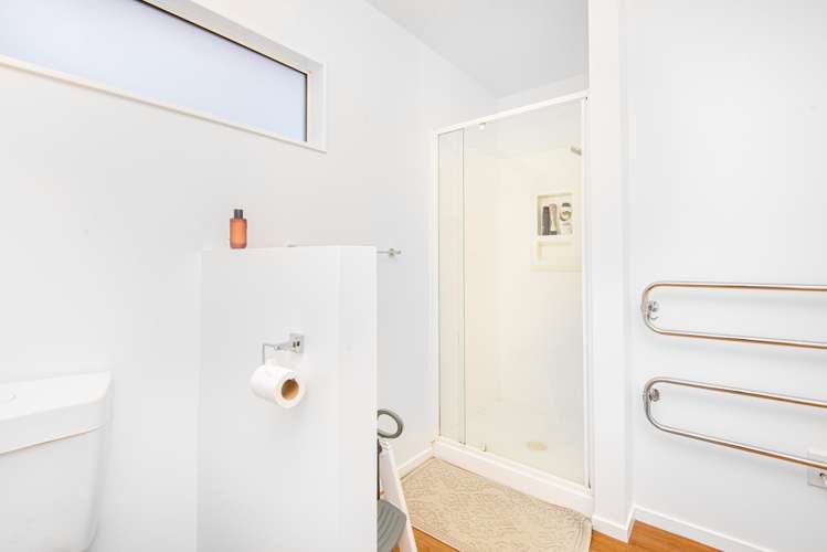 119 Cortina Avenue Johnsonville_22