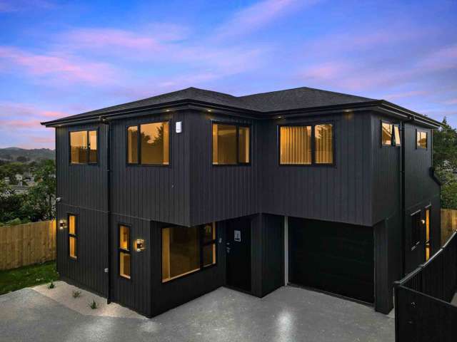 37B Prospect Terrace Pukekohe_1