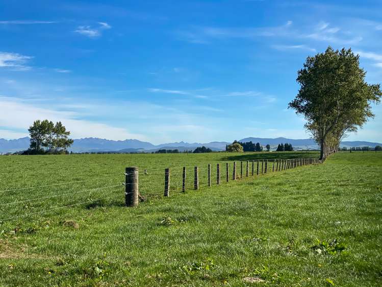 445 Aparima Road Otautau_22