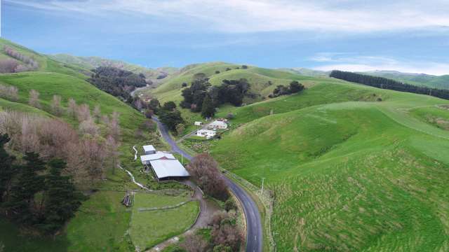 297 Kaitawa Road Pahiatua_3