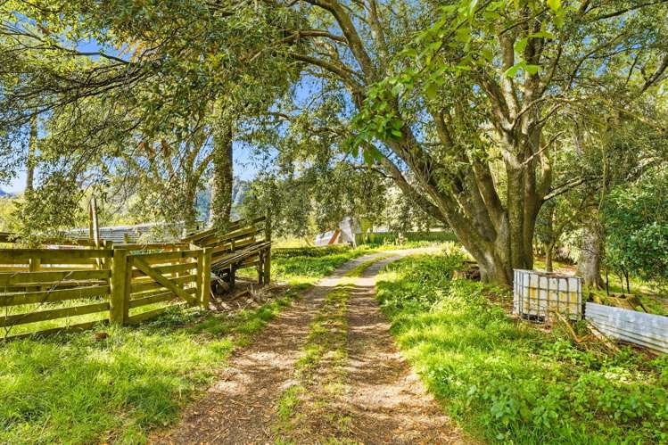 3499 State Highway 4 Kakatahi_30