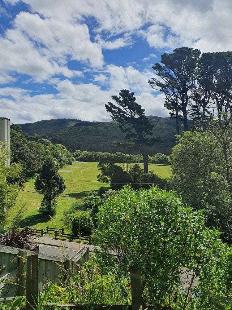 43C Wilton Road Wadestown_16