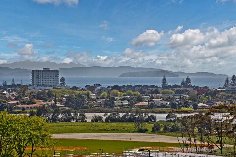 16 Miller Rise Silverdale_15