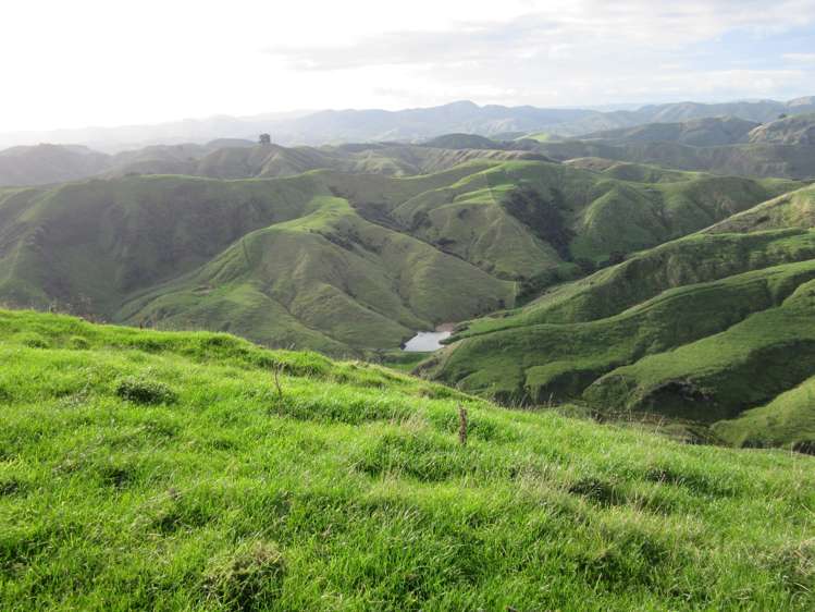 297 Kaitawa Road Pahiatua_19