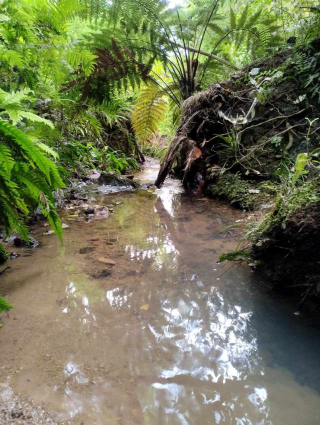 Lot 1 Backriver Road Peria_4